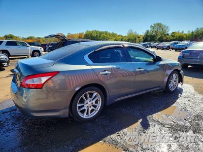 Trzecie zdjęcie samochodu z tyłu: 2011 NISSAN MAXIMA 3.5 S VIN:1N4AA5AP3BC806318 - miniatura