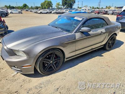 2014 FORD MUSTANG V6 CONVERTIBLE 1ZVBP8EM1E5240079 - główne zdjęcie licytacji z USA - miniatura