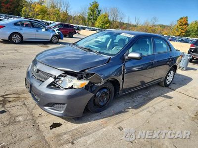 2009 TOYOTA COROLLA LE 2T1BU40E39C059305 - główne zdjęcie licytacji z USA - miniatura