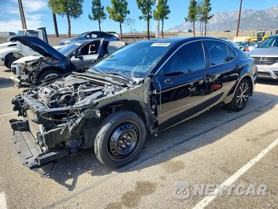 2019 TOYOTA CAMRY SE 4T1B11HK1KU790160 - główne zdjęcie licytacji z USA - miniatura
