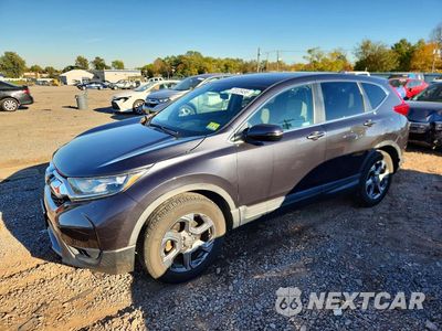 2019 HONDA CR-V EX 2HKRW2H53KH613169 - główne zdjęcie licytacji z USA - miniatura