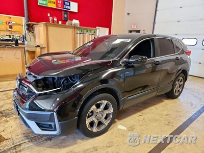 2019 HONDA CR-V EX 5J6RW2H5XKL009365 - główne zdjęcie licytacji z USA - miniatura