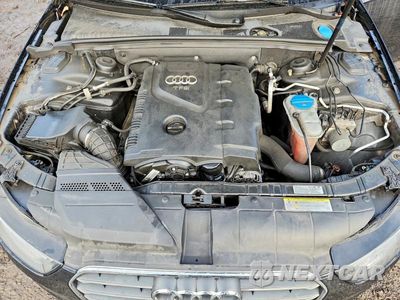Zdjęcie 11 z 12 samochodu: 2013 AUDI A4 PREMIUM PLUS VIN:WAUHFAFL5DN015866 - miniatura