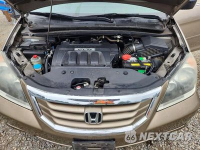 Zdjęcie 12 z 13 samochodu: 2009 HONDA ODYSSEY EXL VIN:5FNRL38719B052804 - miniatura