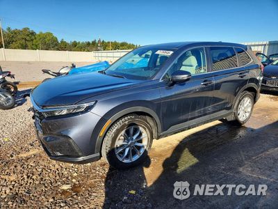 2024 HONDA CR-V EX 5J6RS4H43RL005568 - główne zdjęcie licytacji z USA - miniatura