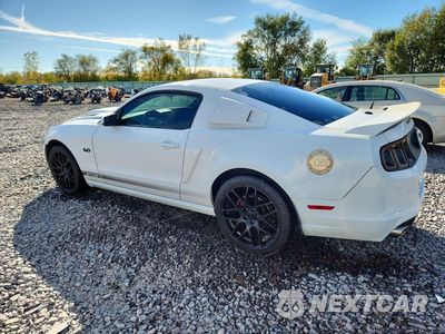 Drugie zdjęcie samochodu z przodu: 2014 FORD MUSTANG GT VIN:1ZVBP8CF4E5235561 - miniatura