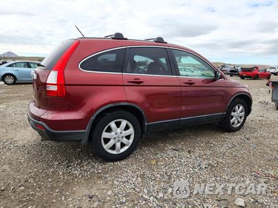 Trzecie zdjęcie samochodu z tyłu: 2007 HONDA CR-V EXL VIN:JHLRE48767C069076 - miniatura