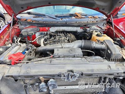 Zdjęcie 11 z 12 samochodu: 2013 FORD F150 SUPERCREW VIN:1FTFW1ET2DKD90210 - miniatura