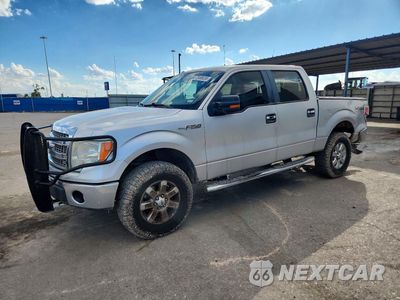 2014 FORD F150 SUPERCREW 1FTFW1EF0EKE98286 - główne zdjęcie licytacji z USA - miniatura