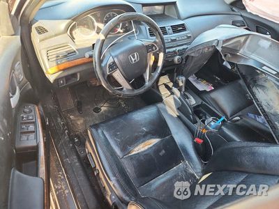 Zdjęcie 8 z 12 samochodu: 2011 HONDA ACCORD EXL VIN:1HGCP3F83BA014609 - miniatura