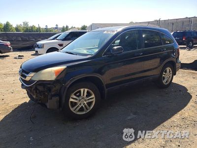 2010 HONDA CR-V EXL 5J6RE4H71AL056492 - główne zdjęcie licytacji z USA - miniatura