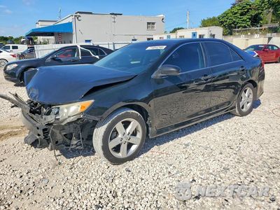 2013 TOYOTA CAMRY SE 4T1BF1FK8DU671688 - główne zdjęcie licytacji z USA - miniatura