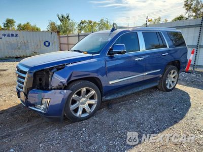2016 CADILLAC ESCALADE LUXURY 1GYS4BKJXGR326077 - główne zdjęcie licytacji z USA - miniatura