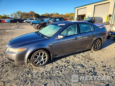 2005 ACURA TL 19UUA66215A074265 - główne zdjęcie licytacji z USA - miniatura