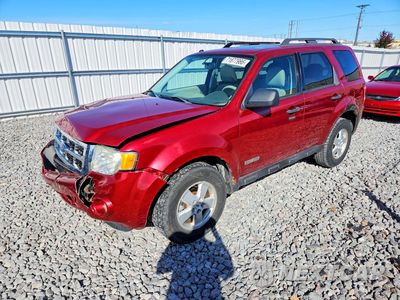 2008 FORD ESCAPE XLT 1FMCU03Z18KE51459 - główne zdjęcie licytacji z USA - miniatura