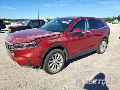 2024 HONDA CR-V EXL 2HKRS3H74RH329269 - główne zdjęcie licytacji z USA - miniatura