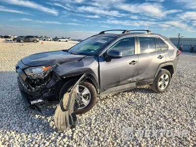 2019 TOYOTA RAV4 XLE 2T3W1RFV1KC030316 - główne zdjęcie licytacji z USA - miniatura