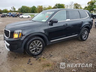 2024 KIA TELLURIDE LX 5XYP2DGC8RG519191 - główne zdjęcie licytacji z USA - miniatura