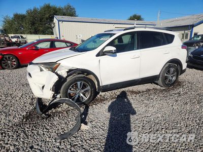 2016 TOYOTA RAV4 XLE 2T3WFREV0GW258025 - główne zdjęcie licytacji z USA - miniatura