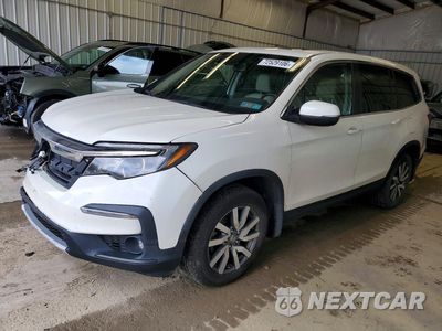 2019 HONDA PILOT EXL 5FNYF6H58KB045115 - główne zdjęcie licytacji z USA - miniatura
