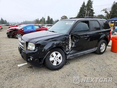 2011 FORD ESCAPE XLT 1FMCU9DG2BKC38044 - główne zdjęcie licytacji z USA - miniatura
