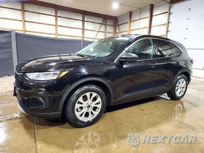 2024 FORD ESCAPE ACTIVE 1FMCU0GN8RUA95055 - główne zdjęcie licytacji z USA - miniatura