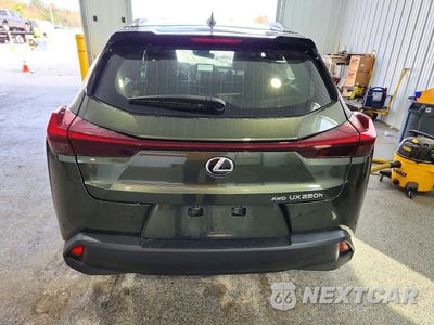 Zdjęcie 6 z 13 samochodu: 2024 LEXUS UX 250H BASE VIN:JTHX9JBHXR2074569 - miniatura