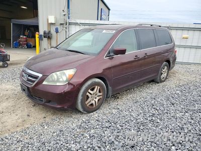2007 HONDA ODYSSEY EXL 5FNRL38767B044551 - główne zdjęcie licytacji z USA - miniatura