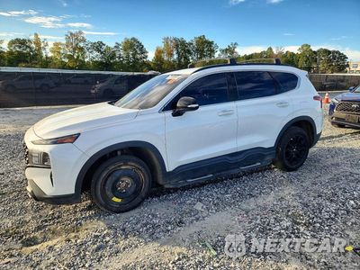 2023 HYUNDAI SANTA FE XRT 5NMS64AJ8PH497461 - główne zdjęcie licytacji z USA - miniatura