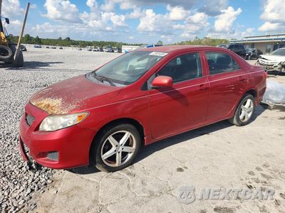 2010 TOYOTA COROLLA LE 1NXBU4EE5AZ310904 - główne zdjęcie licytacji z USA - miniatura