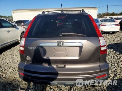 Zdjęcie 6 z 12 samochodu: 2010 HONDA CR-V EXL VIN:5J6RE4H7XAL005492 - miniatura