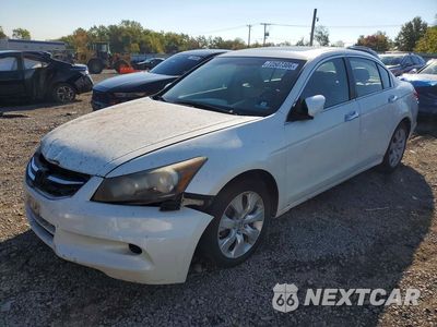 2010 HONDA ACCORD EXL 5KBCP3F83AB002773 - główne zdjęcie licytacji z USA - miniatura