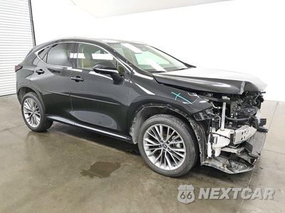 Czwarte zdjęcie samochodu z boku: 2025 LEXUS NX 350H LUXURY VIN:2T2HKCEZ1SC050223 - miniatura