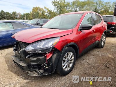 2022 FORD ESCAPE SE 1FMCU0BZ8NUB07922 - główne zdjęcie licytacji z USA - miniatura