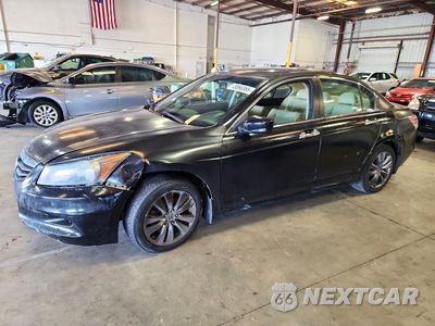 2011 HONDA ACCORD EXL 5KBCP3F82BB004175 - główne zdjęcie licytacji z USA - miniatura