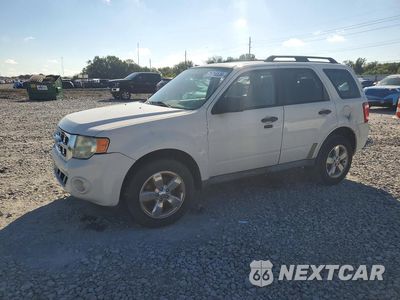 2011 FORD ESCAPE XLT 1FMCU0D78BKA04342 - główne zdjęcie licytacji z USA - miniatura