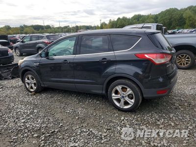 Drugie zdjęcie samochodu z przodu: 2014 FORD ESCAPE SE VIN:1FMCU9GX9EUC80344 - miniatura