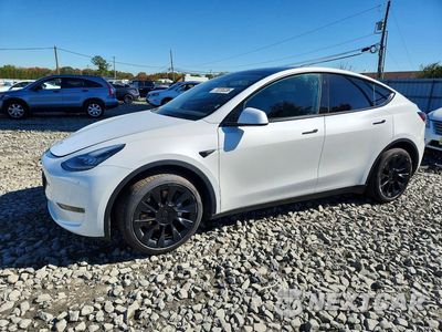 2023 TESLA MODEL Y 7SAYGDEE7PA059519 - główne zdjęcie licytacji z USA - miniatura