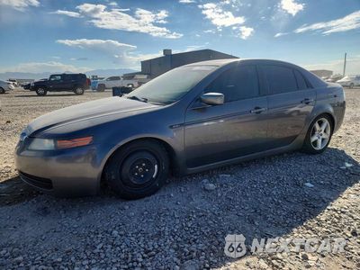2006 ACURA 3.2TL 19UUA66216A022054 - główne zdjęcie licytacji z USA - miniatura
