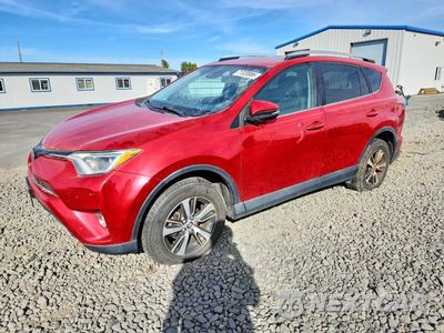 2016 TOYOTA RAV4 XLE 2T3RFREV0GW538265 - główne zdjęcie licytacji z USA - miniatura