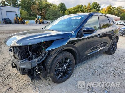 2024 FORD ESCAPE ST LINE ELITE 1FMCU9PZ7RUB14623 - główne zdjęcie licytacji z USA - miniatura