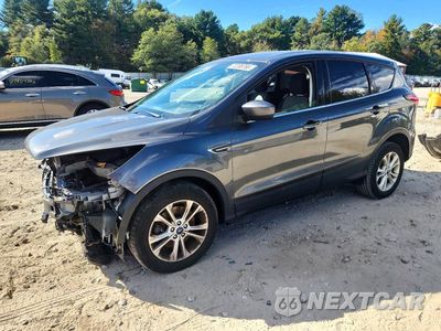 2019 FORD ESCAPE SE 1FMCU9GD6KUB41774 - główne zdjęcie licytacji z USA - miniatura