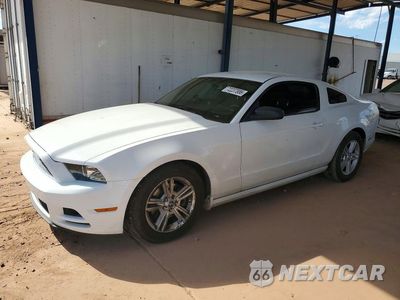 2014 FORD MUSTANG 1ZVBP8AM6E5205205 - główne zdjęcie licytacji z USA - miniatura