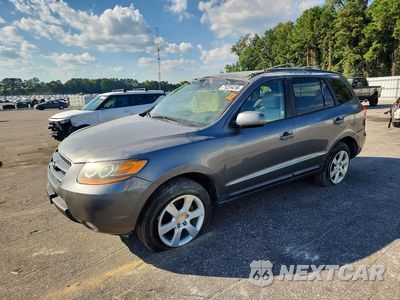 2009 HYUNDAI SANTA FE SE 5NMSH13E29H295159 - główne zdjęcie licytacji z USA - miniatura