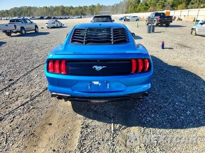 Zdjęcie 6 z 12 samochodu: 2019 FORD MUSTANG VIN:1FA6P8TH0K5178167 - miniatura