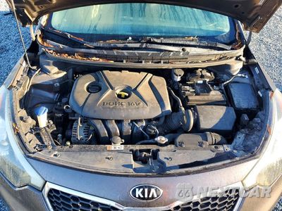 Zdjęcie 11 z 12 samochodu: 2014 KIA FORTE LX VIN:KNAFX4A69E5218798 - miniatura