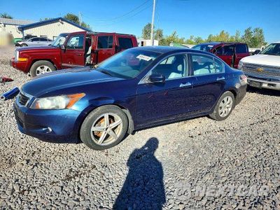 2010 HONDA ACCORD EXL 5KBCP3F84AB010333 - główne zdjęcie licytacji z USA - miniatura