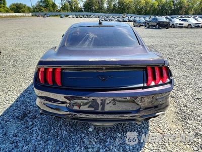 Zdjęcie 6 z 12 samochodu: 2023 FORD MUSTANG VIN:1FA6P8TH0P5101466 - miniatura