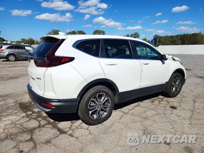 Trzecie zdjęcie samochodu z tyłu: 2020 HONDA CR-V EX VIN:5J6RW2H52LL004453 - miniatura