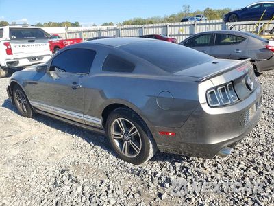 Drugie zdjęcie samochodu z przodu: 2013 FORD MUSTANG VIN:1ZVBP8AM9D5230050 - miniatura